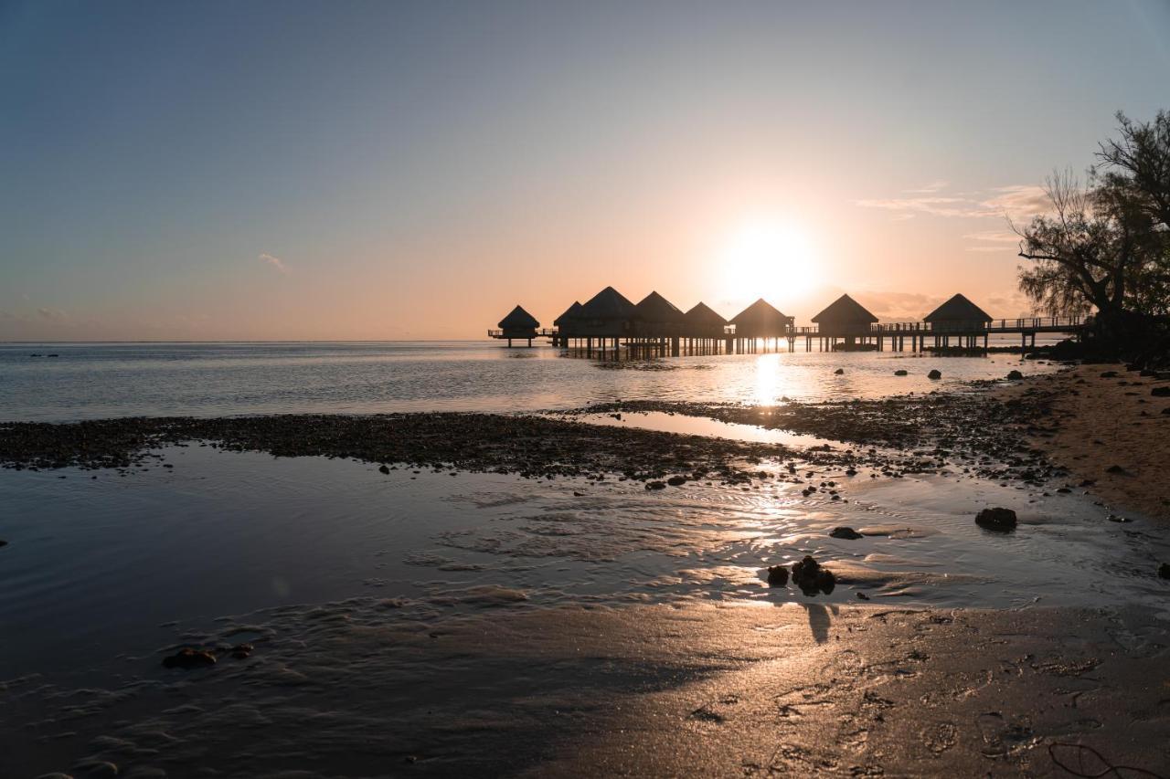 Douceur Tropicale Proximite Plage Et Commerces Punaauia  Zewnętrze zdjęcie